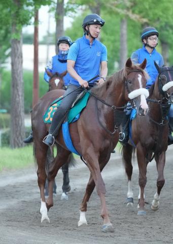 【新潟新馬戦】アーモンドアイ2番子プロメサアルムンド　軽快に馬なりで併入!