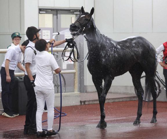 馬も人も涼しく!中京競馬暑熱対策は充実　空調付き休憩用テントや「ミストで涼ませ隊」も登場
