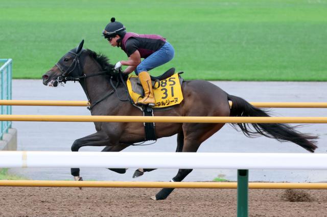 【クイーンS】大人になったアルジーヌが主役を演じる　陣営「レースに対して真面目になりました」