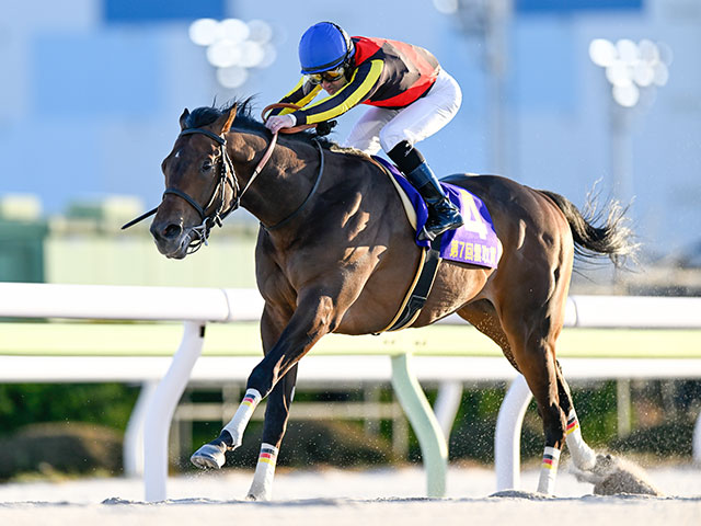 【レパードS想定】ジャナドリアやヴィンセンシオなど20頭