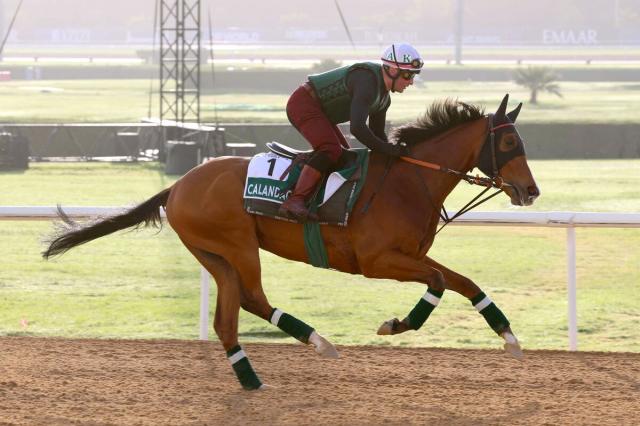 【注目馬動向】キングジョージ制覇のカランダガンはジャパンCを目標　ダノンデサイルが出走の英インターナショナルSは回避