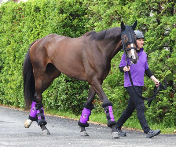 【注目馬動向】牝馬2冠狙うカムニャックは復帰戦のローズSへ来月8日に帰厩　友道調教師「体もふっくら。いい感じ」