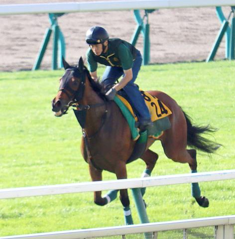 【クイーンS】ココナッツブラウンは芝コースで軽めに追い切り　陣営「全然問題ない。馬ができあがっている」