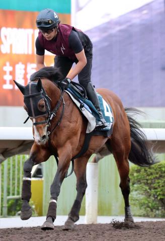 重賞3勝のプログノーシスが競走馬登録抹消　今後はブリーダーズSSで種牡馬入りの予定