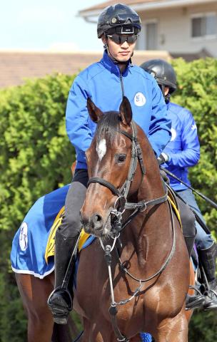 【注目馬動向】オーサムリザルトが復活Vへ坂路で軽快　ブリーダーズGCは無傷5連勝中のダブルハートボンドと注目の激突