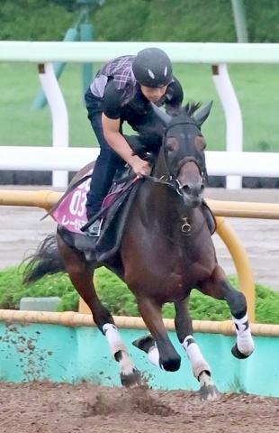 【クイーンS】レーゼドラマがキング姐さんの手綱で古馬に挑む　レイチェル・キング騎手「落ち着いている様子を確認できました」