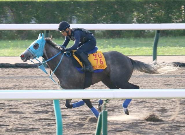 【クイーンS】フェアエールングはダートコースで追われて軽快に伸びる　和田正調教師「得意の舞台なので期待したい」