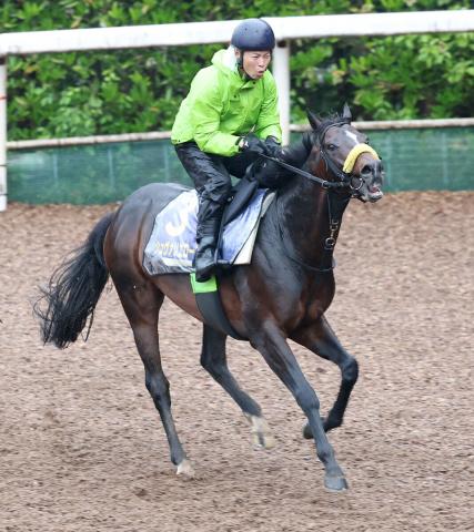 【注目馬動向】シュヴァリエローズは札幌記念で武豊騎手と新コンビ　前走の宝塚記念は12着