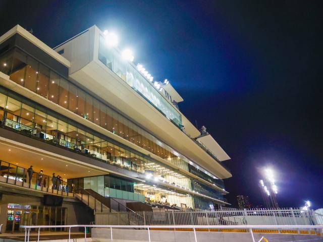 【船橋・習志野きらっとスプリント結果】転入初戦のファーンヒルが圧勝！重賞初制覇を飾る