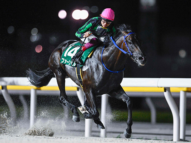【船橋・習志野きらっとスプリント結果】転入初戦のファーンヒルが圧勝！重賞初制覇を飾る