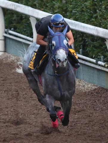 【アイビスSD】テイエムスパーダ　余力あり好時計　小椋師「あとは外枠が欲しいですね」