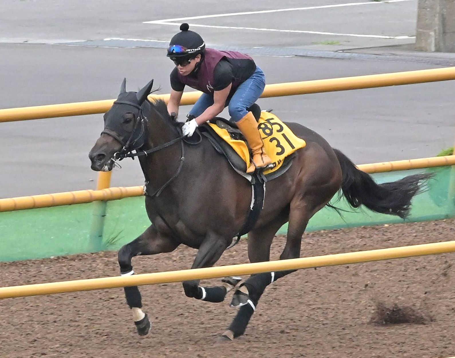 【クイーンＳ】アルジーヌ　勢いある！　母・キャトルフィーユと母子制覇へ　精神面で大きな成長　２４年３着のリベンジ