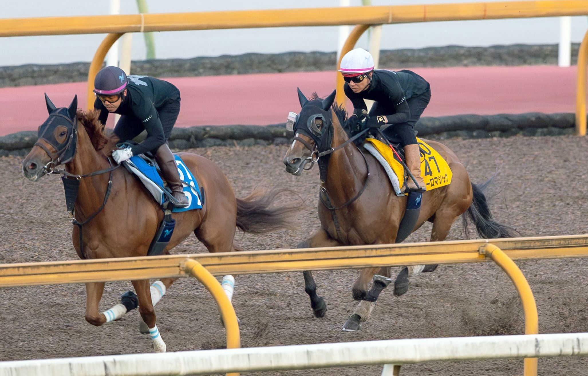 【アイビスＳＤ】ピューロマジック　反撃の”仕掛け”は控える競馬　２４年・北九州記念以来となる重賞３勝目へ　