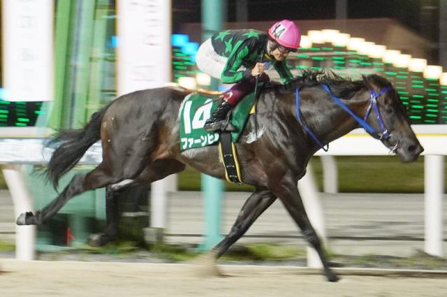 【船橋競馬・習志野きらっとスプリント(30日)】ファーンヒル3馬身差圧倒V