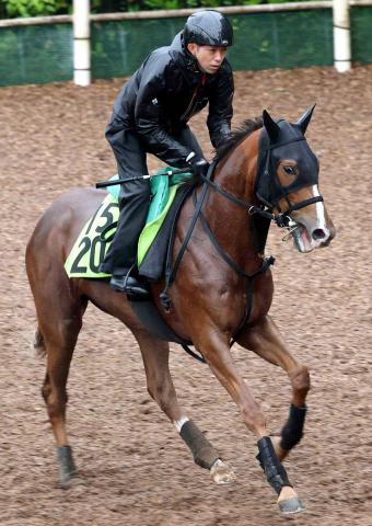 【注目馬動向】皐月賞馬ミュージアムマイルの半妹フェスティバルヒルは新潟2歳Sへ　四位調教師「いい雰囲気。体もふっくら」