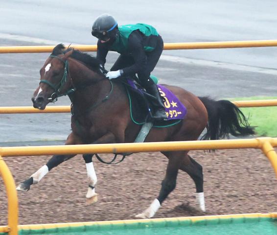 G1馬になったパンジャタワーが函館競馬場で初時計をマーク　来週はアルナシームと併せ馬の予定