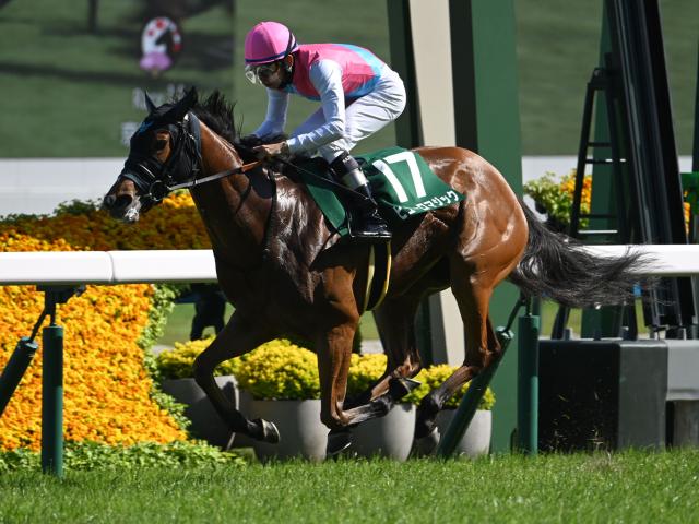 【アイビスSD出走馬・騎手確定】ピューロマジック＆C.ルメール騎手、テイエムスパーダ＆斎藤新騎手など18頭