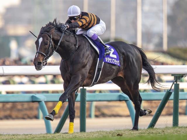母は米G1馬 キタサンブラック産駒のフォルナックスがデビューV狙う