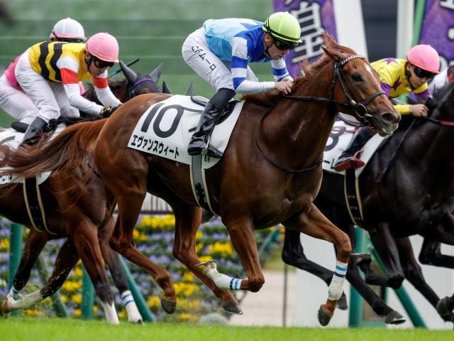【苫小牧特別】「大魔神」佐々木主浩オーナーの良血 エヴァンスウィートが3勝目なるか