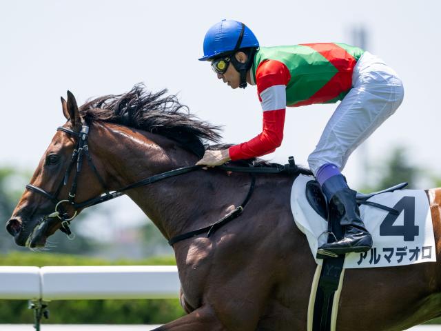 【積丹特別】半兄は名馬キタサンブラック アルマデオロが必勝を期す一戦だ