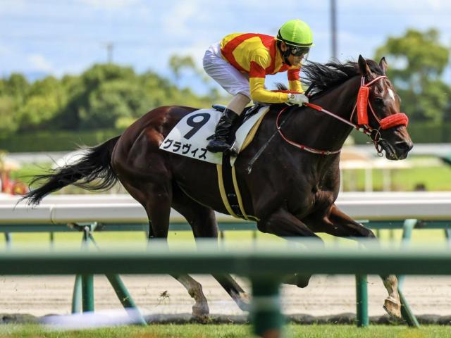兄姉2頭が海外G1馬 グラヴィスが待望の3勝目なるか