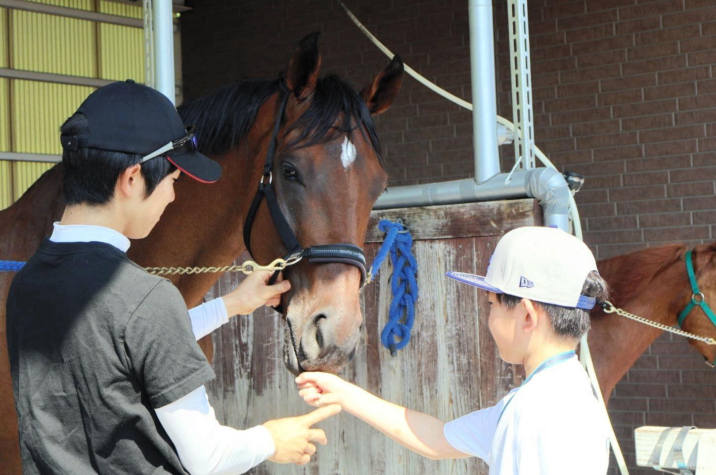 栗東トレセンで夏休み親子体験ツアー開催　乗馬体験にはＪＲＡ騎手も登場　小崎「夏休みだからこその企画」