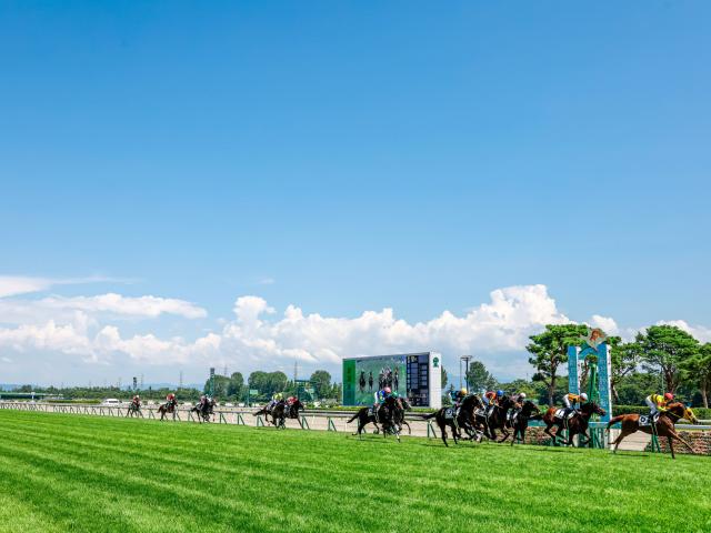 競馬場内外のグルメ満喫や一時帰宅も？ 「競走時間帯の拡大」が生んだ夏競馬の“新風景”