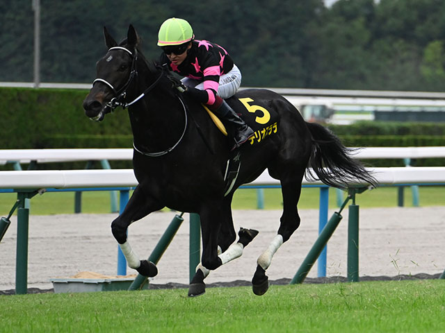 半兄2頭が重賞勝ち テリオスララが復帰戦Vなるか