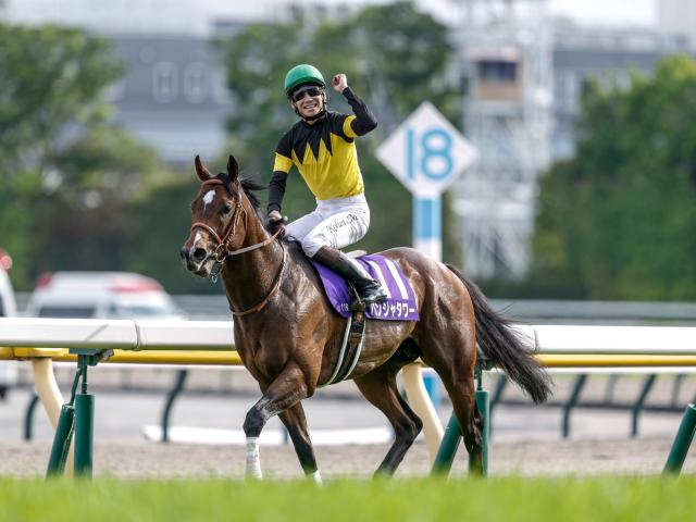 【有力馬動向】パンジャタワーが函館で追い切り/馬三郎のつぶやき