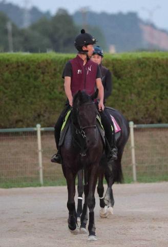 【中京新馬戦】コニーアイランド　順調な追い切り　陣営「走り自体には幼さが残るけど…」