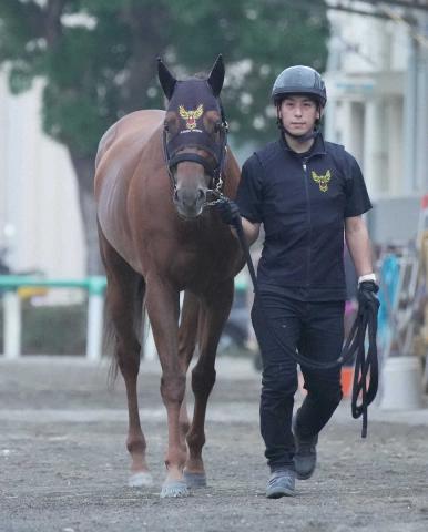 【アイビスSD】杉原　クムシラコでレース初きょうだいVへ!