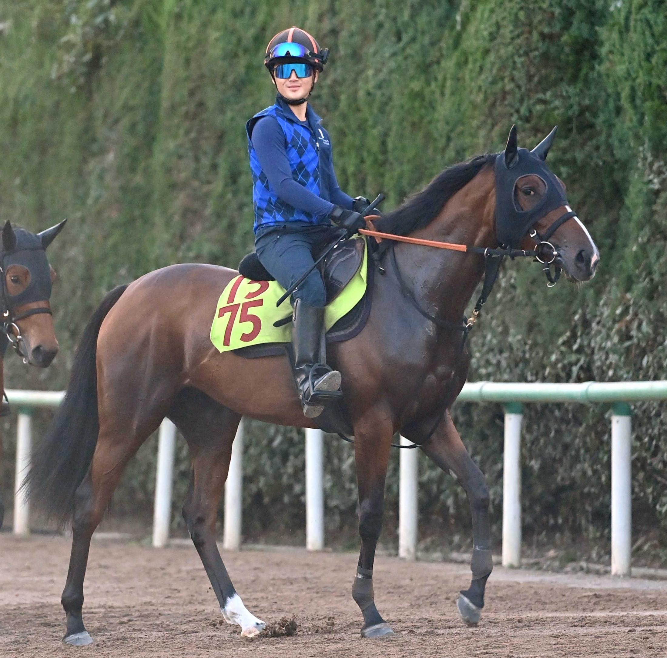 【新馬戦】近親にＧ１馬キラーアビリティ　注目のアートバーゼルが初陣　宮田師「態勢は整っています」