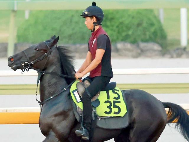 【新馬戦】半姉は３冠牝馬リバティアイランド　超良血馬コニーアイランドが初陣「まずまず動けている」