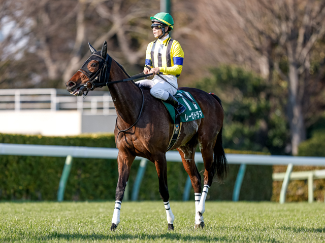 【クイーンS枠順確定】レーゼドラマは5枠7番、アルジーヌは6枠10番
