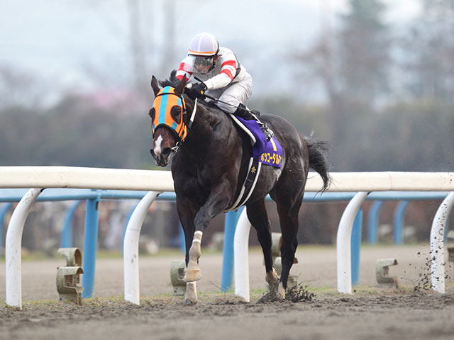 GI級・10勝ホッコータルマエの活躍はここから 初重賞制覇を果たしたレパードＳ