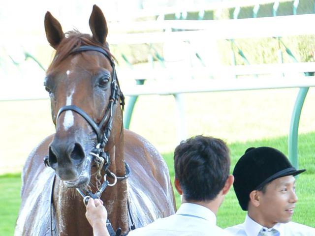 ペルーサが5年3カ月8日ぶりに勝利した札幌日経OPからちょうど10年
