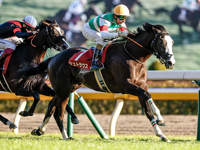 東スポ杯覇者シュトラウス CBC賞を勝てば20年ぶり史上4頭目の記録に