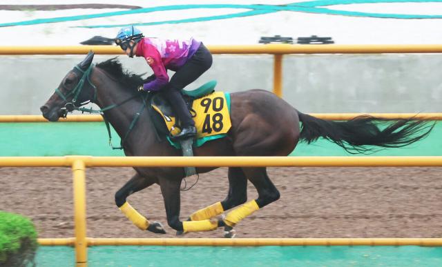 【クイーンS】ビヨンドザヴァレーは追い切り翌日も元気に馬場入り　陣営「重賞を勝つならここだと思っています」