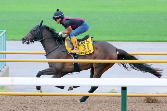 【クイーンS】アルジーヌは輸送前日も文句なしの気配　陣営「不安なくレースに向かえます」
