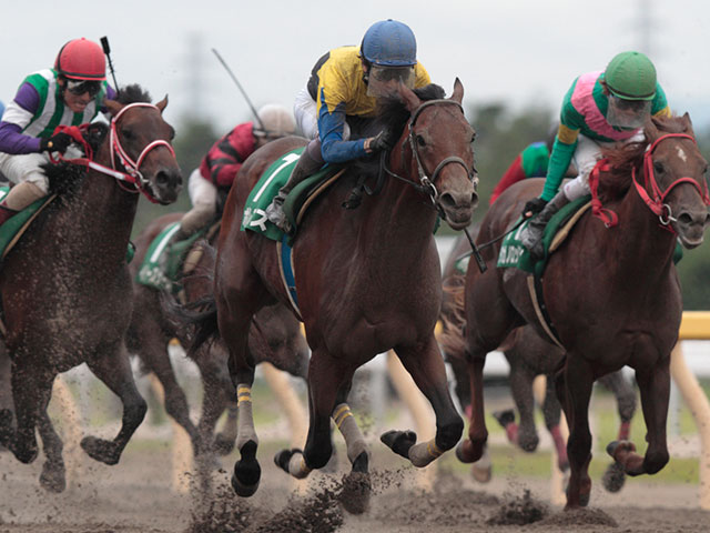 ディープインパクト産駒初のダート重賞勝利 ボレアスのレパードS