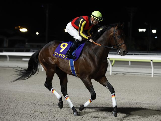 【レパードS想定馬・騎手】ジャナドリア、ヴィンセンシオなど23頭