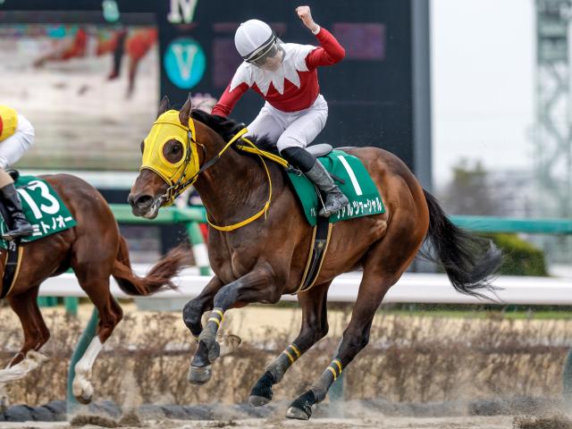 【エルムS想定馬・騎手】ヴァルツァーシャル、ウィリアムバローズなど16頭