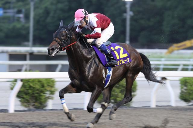 【高知競馬・黒潮菊花賞(3日)大恵陽子のイチオシ】ジュゲムーン3冠達成だ