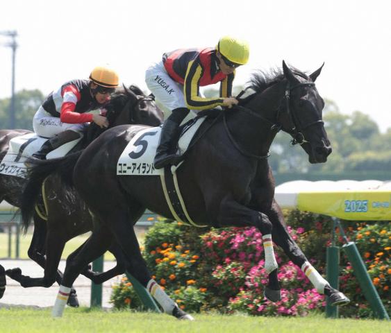 【中京2R新馬戦】リバティアイランド半妹コニーアイランドV　川田「返し馬ではお姉さんによく似ている」