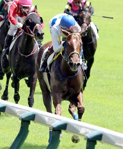 【新潟3R・2歳未勝利】初戦大敗のプリティーミズホが初芝で激変V　三浦皇成騎手「芝でのスピードの違いで」