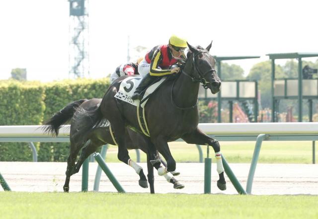天国のリバティアイランドへ妹が初陣V　出遅れ乗り越えた勝利にファン感涙「涙出てきた」「あれでも勝つんか」