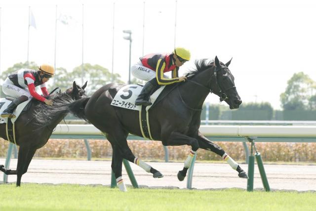 【中京2R・2歳新馬】リバティアイランドの妹コニーアイランドがV発進　川田将雅騎手「よく似ているところもあったので…」