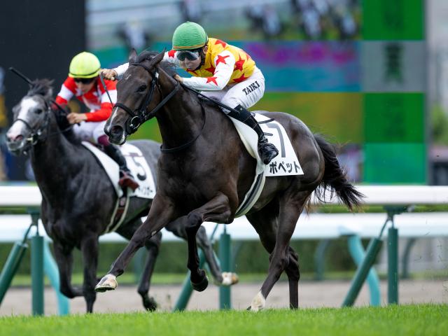 【札幌5R新馬戦結果】サトノクラウン産駒ポペットが突き抜けてV