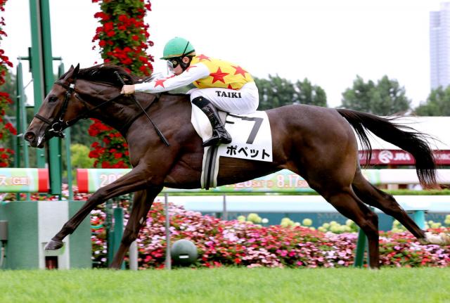 【札幌5R・2歳新馬】ポペットが3馬身差突き抜ける圧勝!　通算2勝目の橋木太希騎手「調教から楽しみにしていた」