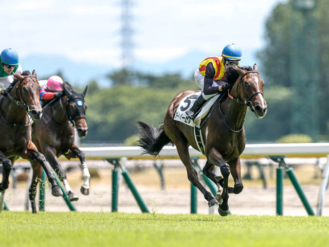 【新潟4R新馬戦結果】エピファネイア産駒アートバーゼルが抜け出し快勝